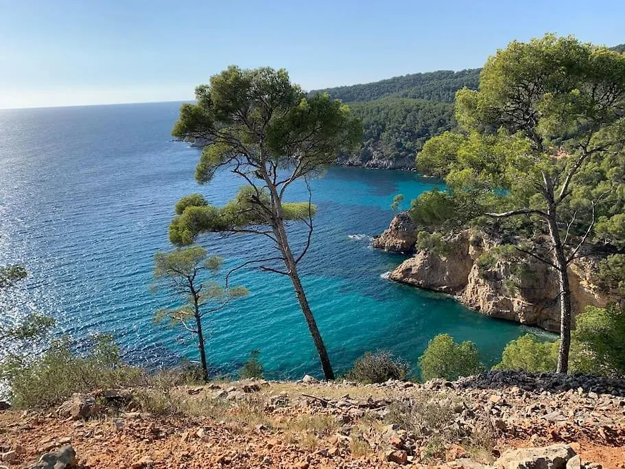 Villa 900 M Du Centre Et Plages, Piscine, Parking Bandol